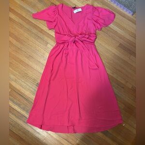 Ann Taylor Bright Pink Top